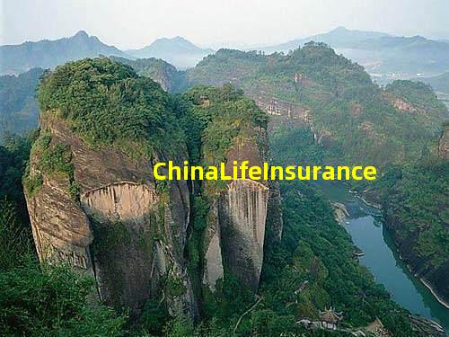 China Life Insurance Company