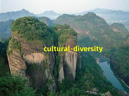 Cultural Diversity