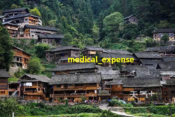 medical expense