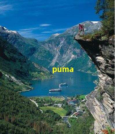 Puma Logo