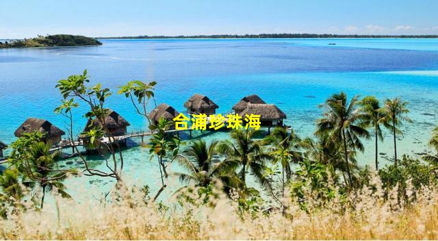 合浦珍珠海